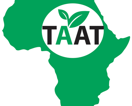 ENABLE TAAT Transforming Lives Through Partnership: Elijah Mutinda’s Agricultural Journey