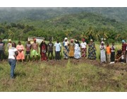 Linking youths to rice value chain