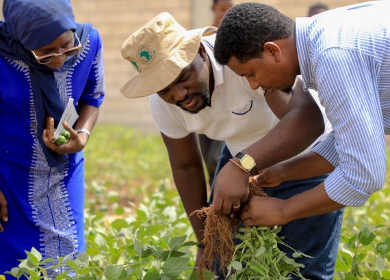 ENABLE TAAT to Explore Somali Agriculture to Empower Youths in Agribusiness