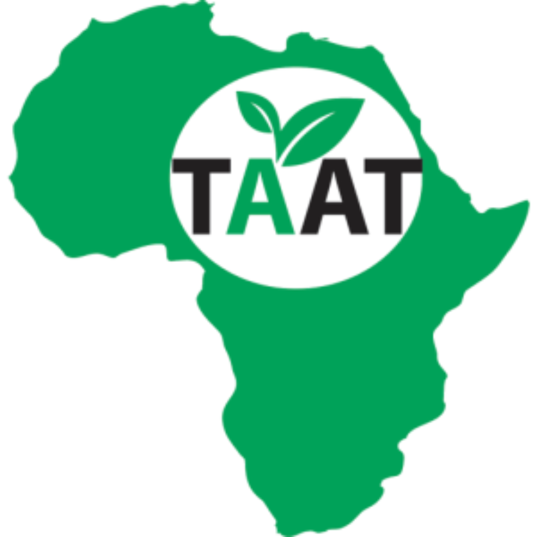 fostering-sustainable-soybean-seed-production-in-zambia-enable-taat