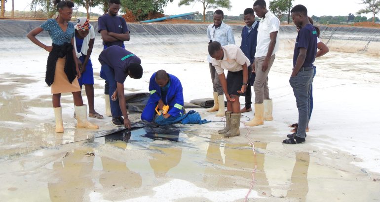 Empowering Lusaka Youth in Sustainable Fish Farming