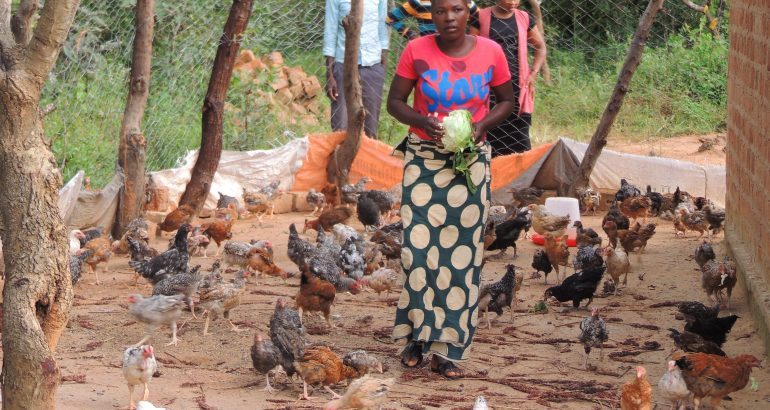 Empowering Youth: From Training to Thriving Poultry Business