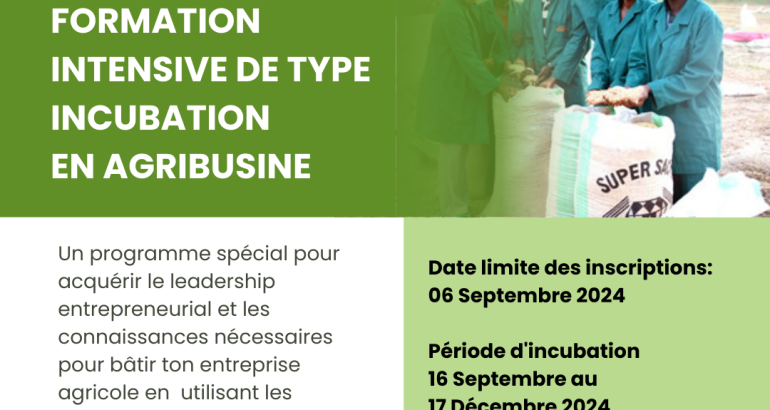 Recruitment Announcement: 3-Month Incubation Program – ENABLE TAAT Benin