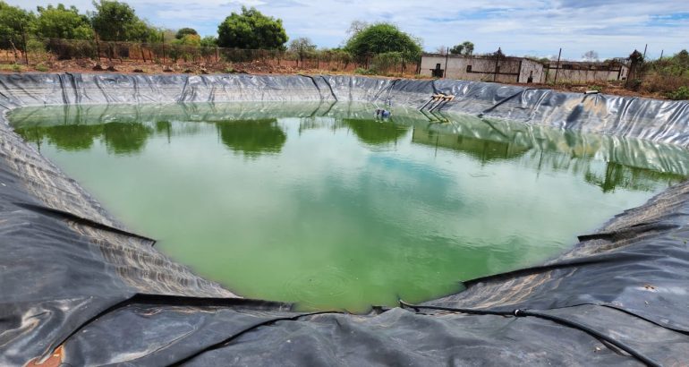 Ngomano Facility: Pioneering Sustainable Farming in Kenya through Kedar GAP and Enable TAAT Partnership